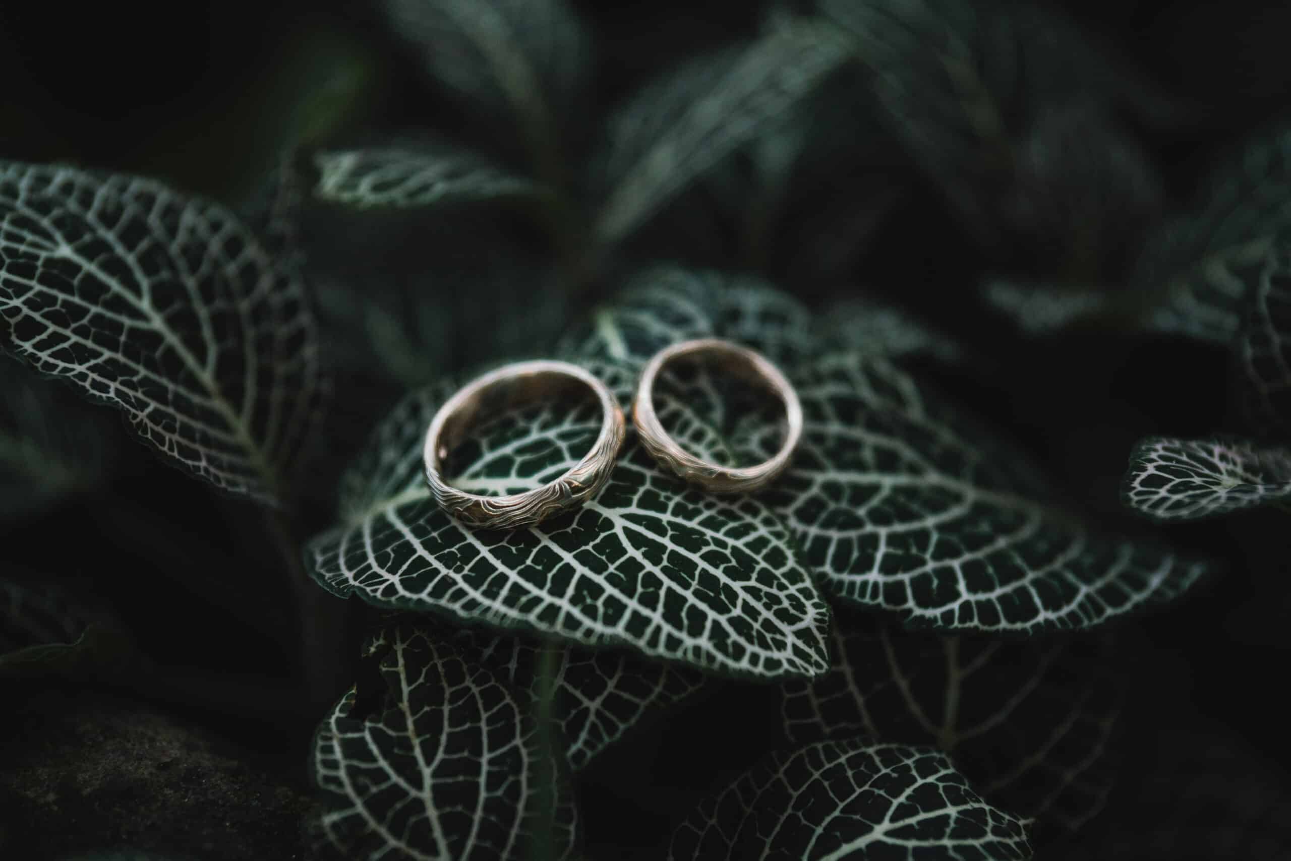 Découvrez les solutions éco-friendly pour un mariage responsable présentées dans les salons spécialisés